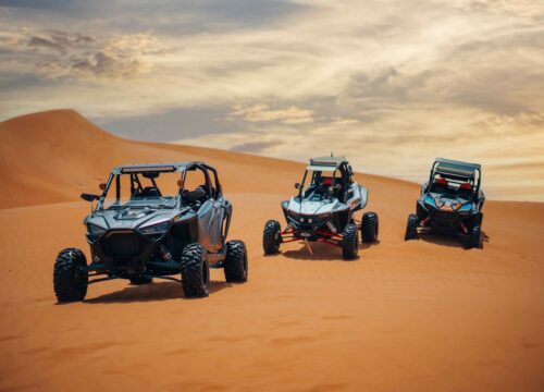 Aventure Quad, Chameau et Spectacle de Dîner dans le Désert d’Agafay