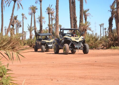 Pourquoi choisir Marrakech pour vos activités d’aventure ?